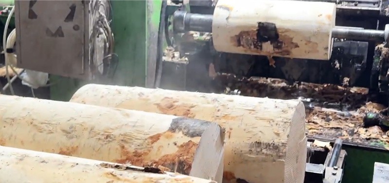 Birch log steaming and bark removal process for disposable tableware Birch log steaming and bark removal process for disposable tableware